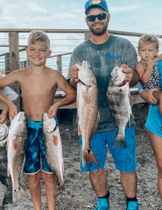 A group of four large redfish, black drum, and redfish caught while fishing in Port Orange