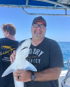 Bull shark fishing in FL