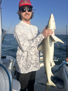 Caught a small shark while out on the open water!