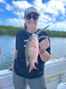 Scenic fishing spot in FL