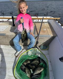 Crappie fish caught while fishing in FL