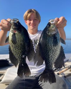 2 crappie fish caught in Port Orange