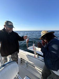 Great day on the water with multiple species using deep sea trolling and varied tackle techniques!