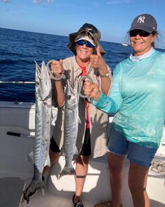 Two great barracuda, 28 inches long, caught while fishing in Port Orange