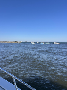 Perfect conditions for deep sea trolling with heavy and light tackle setups.