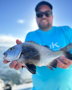 Anglers fishing at the scenic Port Orange location