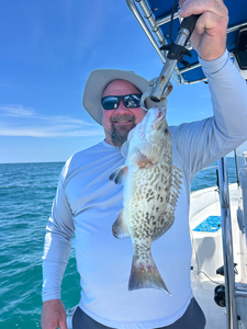 Port Orange Gag Grouper makes for excellent offshore fishing!
