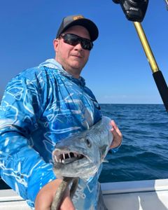Great barracuda catch displayed on fishing boat in Port Orange FL waters
