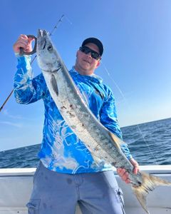 Great barracuda caught while fishing in Port Orange FL waters