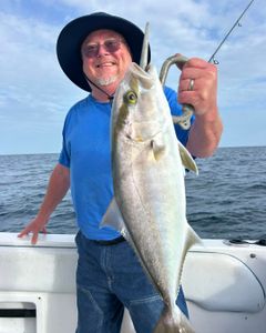 Greater amberjack caught fishing in Port Orange FL