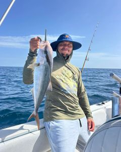 Greater amberjack catch on fishing boat in Port Orange FL waters