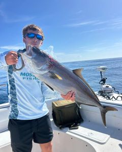 Greater amberjack caught while fishing in Port Orange FL