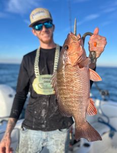 Grey Snapper caught while fishing in FL