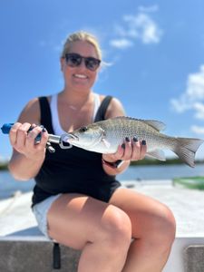 Grey Snapper caught fishing in FL