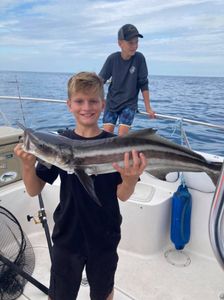 A big cobia fish caught while fishing in FL
