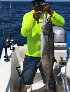 Majestic king mackerel caught while fishing in Port Orange
