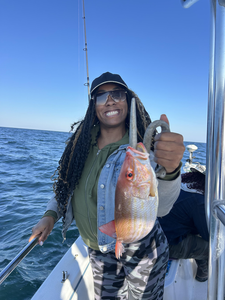 Nice lane snapper caught using deep sea trolling techniques on a clear day!