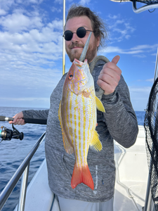 Reeling in the Lane Snapper with some serious DeepSea action!