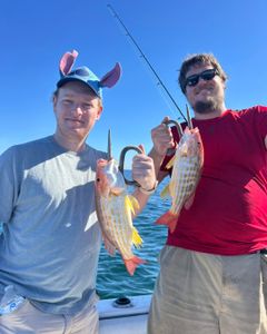 Two lane snapper fish caught during fishing trip in Port Orange FL