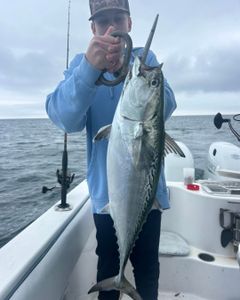 Little Tunny caught while fishing in Port Orange FL displayed on boat