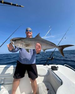 Longfin Yellowtail catch on fishing boat in Port Orange FL waters