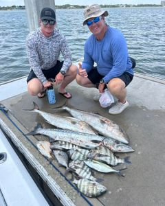 Fresh caught Greater Amberjack and Blue Runner fish displayed on boat deck in Port Orange FL