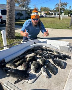 Fresh caught crappie and striped bass displayed on boat deck in Port Orange FL