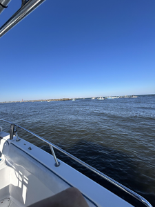 Perfect conditions for deep sea trolling off Port Orange today!
