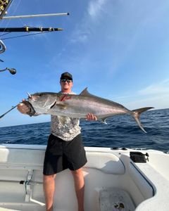Greater amberjack catch displayed on fishing boat in Port Orange FL
