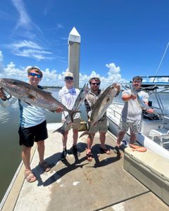 Four anglers displaying large Greater Amberjack catches on fishing boat in Port Orange FL