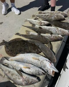 Fresh caught fish including Southern Kingcroaker and Southern Flounder displayed in cooler at Port Orange FL fishing dock