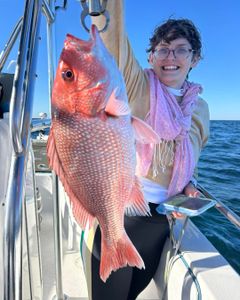 Red snapper caught fishing in Port Orange FL