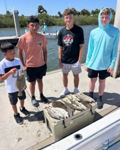 Summer flounder fishing catch displayed in cooler at Port Orange FL marina dock