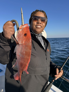 Nice red snapper on the deep sea trolling setup today!