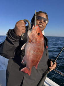 Nice red snapper using deep sea trolling techniques in clear conditions!