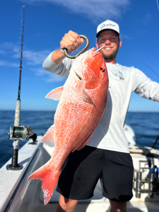 Beautiful red snapper landed in Port Orange waters!