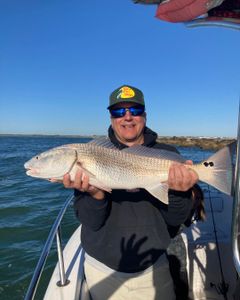 Redfish caught in FL