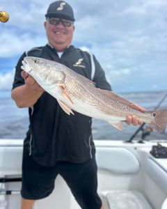 Redfish caught in Florida