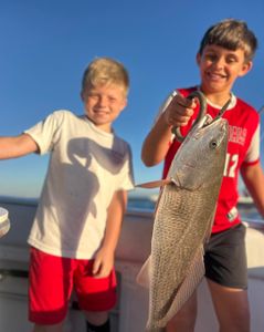 Redfish caught while fishing in Port Orange