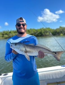 Redfish caught at Port Orange