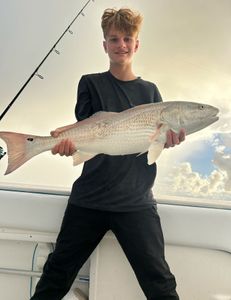 Redfish caught by angler in Port Orange