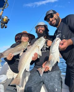 Trio of redfish caught during fishing trip in Port Orange