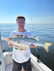 A single snook fish caught fishing in Port Orange