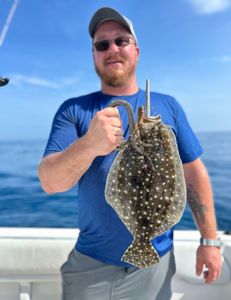 Southern Flounder fish caught in FL