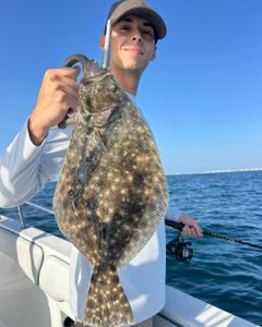 Southern flounder caught while fishing in Port Orange FL