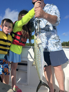 Huge Spanish Mackerel reeled in during an epic deep sea adventure!