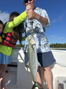 Huge Spanish Mackerel reeled in during a clear day of deep sea action!