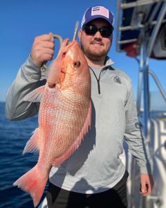 Angler fishing in Florida