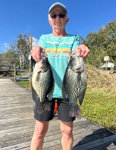 Two crappie fish caught in Port Orange