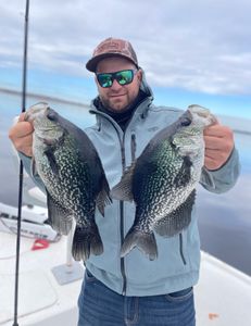 Two crappie fish caught in Port Orange